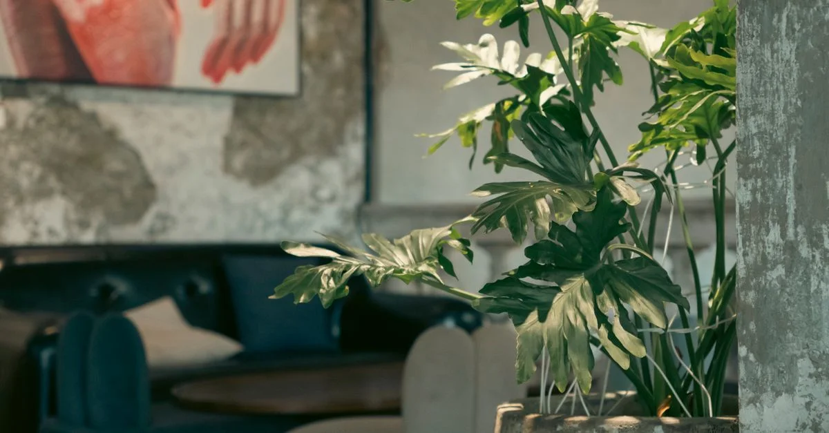 Salon moderne et cozy avec une plante luxuriantes ajoutant une touche de verdure fraîche à la décoration.