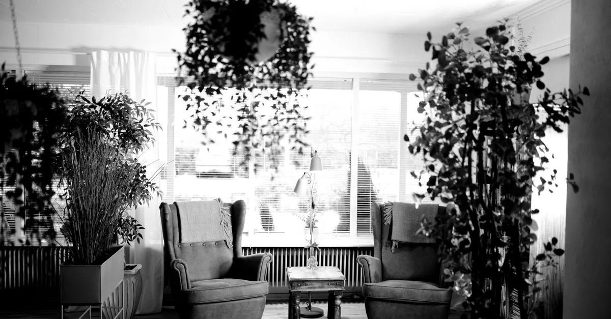 Intérieur vintage chaleureux avec des fauteuils et des plantes en pot en noir et blanc. Décor nostalgique et rétro.