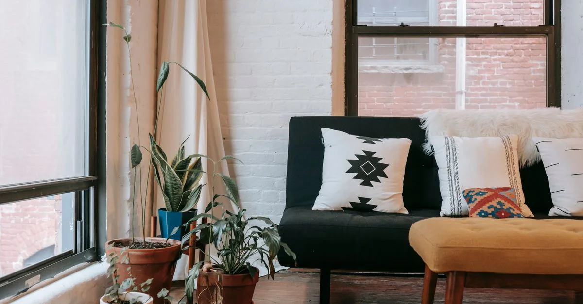 Salle de séjour élégante et confortable avec un décor moderne et des plantes d'intérieur pour une ambiance chaleureuse.