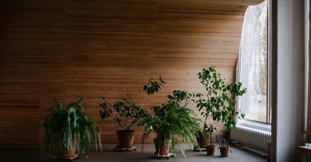 Un intérieur élégant avec plusieurs plantes en pot contre des murs en bois et de grandes fenêtres.