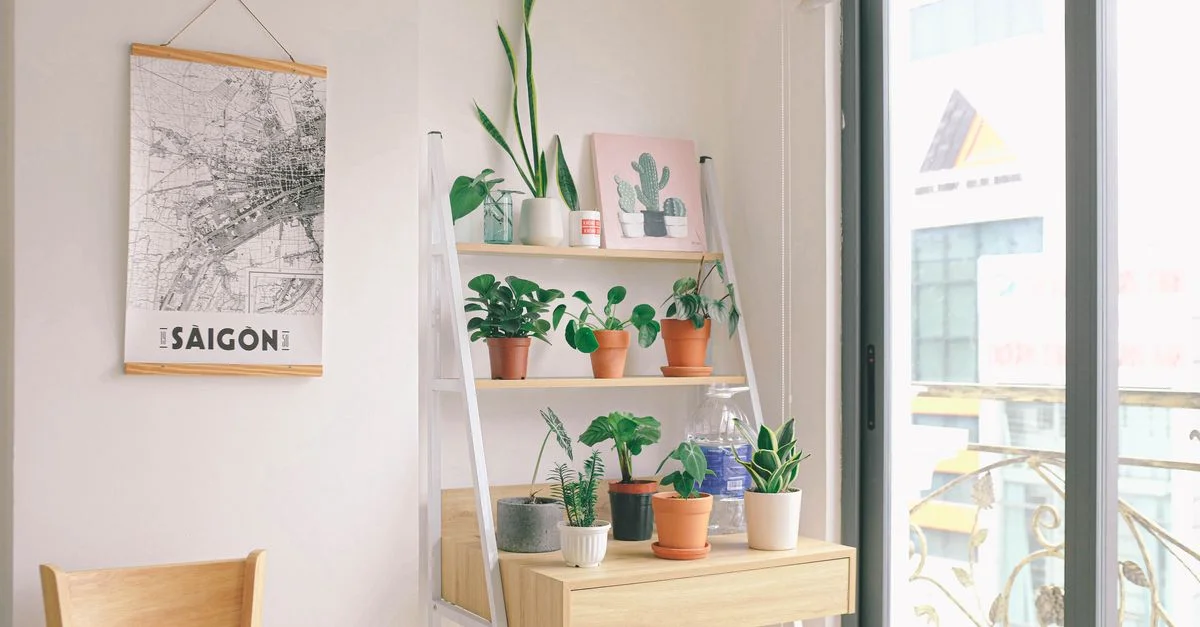Chambre lumineuse avec un décor moderne, des plantes en pot et une carte de Saïgon en exposition.
